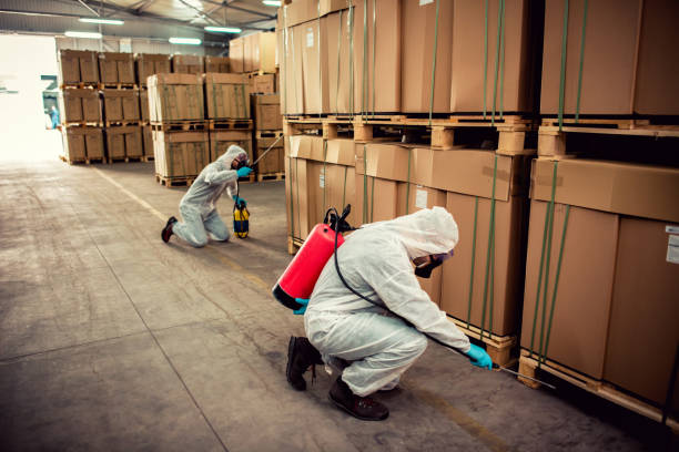 Best Cockroach Control Services  in Odessa, MO