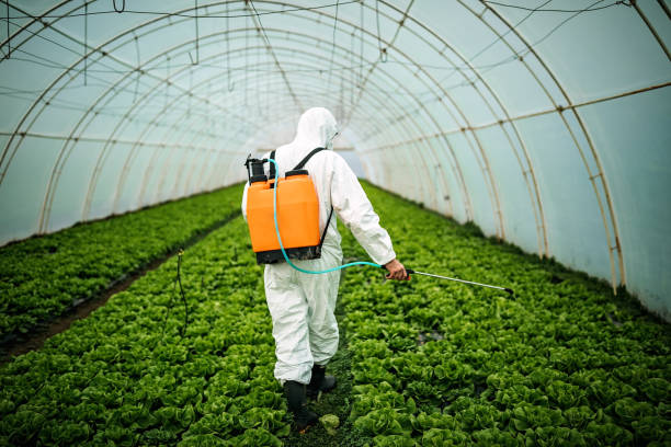 Reliable Odessa, MO Pest Control Solutions