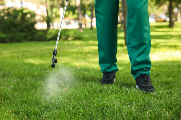 Best Pest Control for Businesses  in Odessa, MO