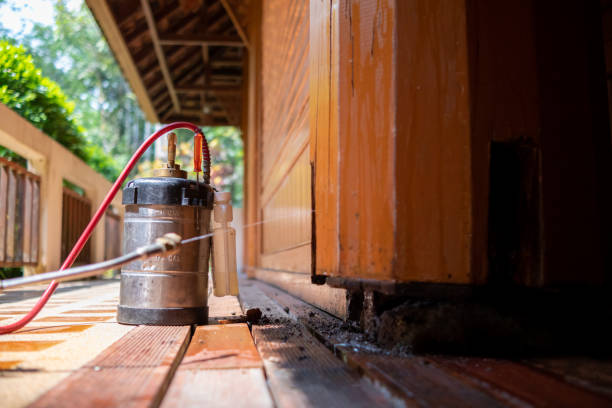 Best Best Pest Control Companies  in Odessa, MO