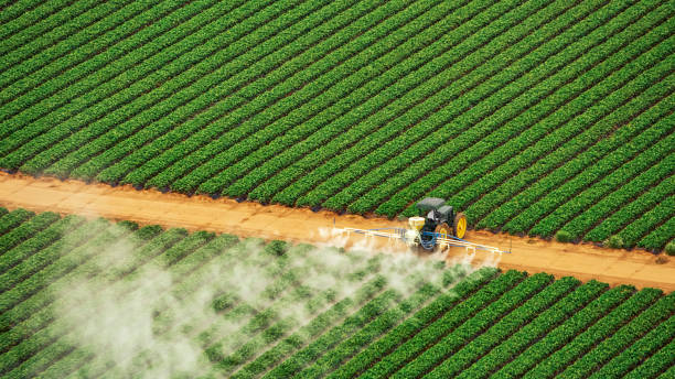 Pest Prevention Services in Odessa, MO