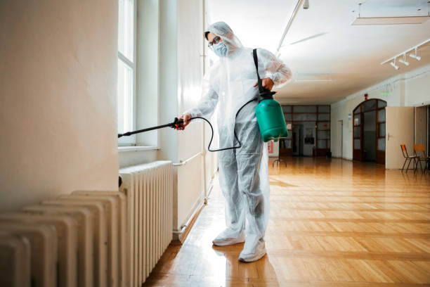 Best Bed Bug Extermination  in Odessa, MO