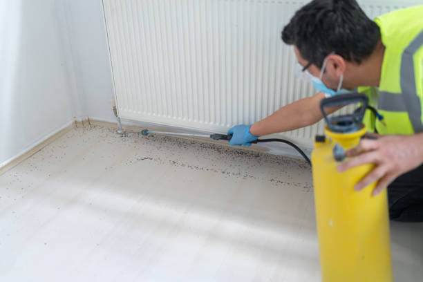 Best Commercial Pest Control Services  in Odessa, MO