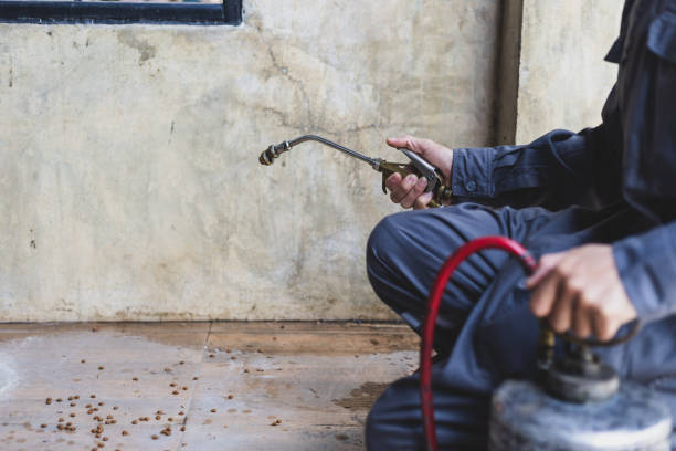Best Best Pest Control Companies  in Odessa, MO